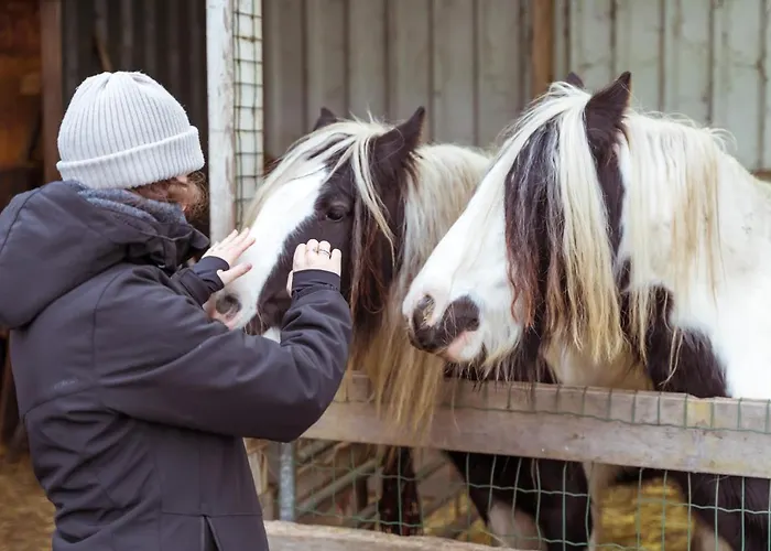 Huisje op Bioboerderij, kust, polder en rust