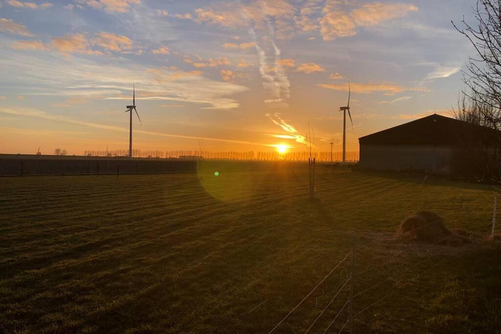 Op Bioboerderij, Kust, Polder En Rust Hoofdplaat