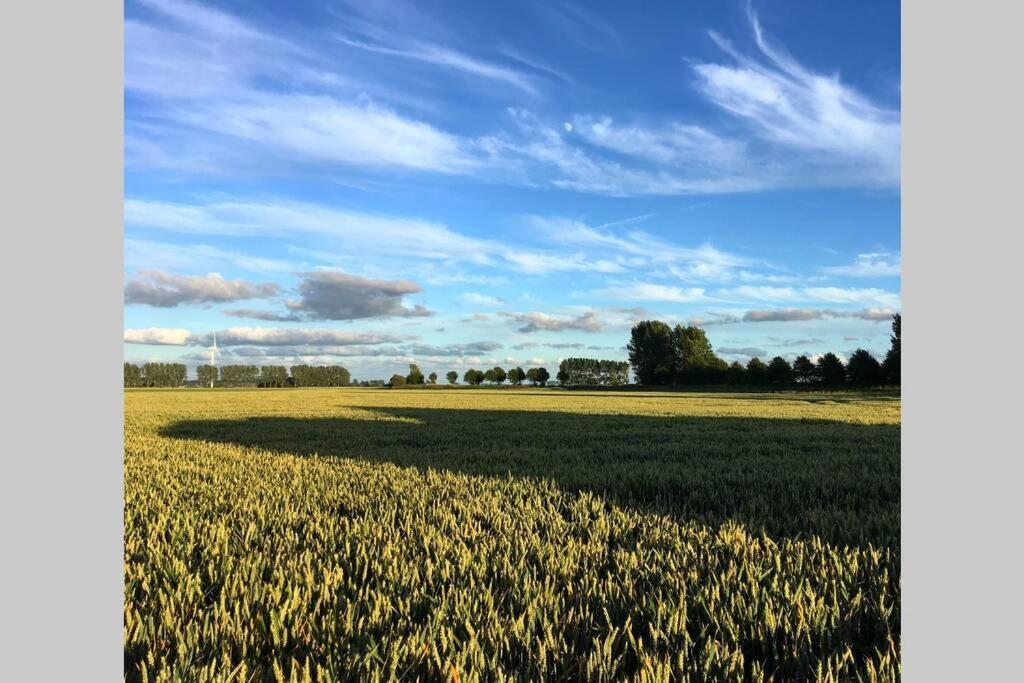 Appartement Op Bioboerderij, Kust, Polder En Rust