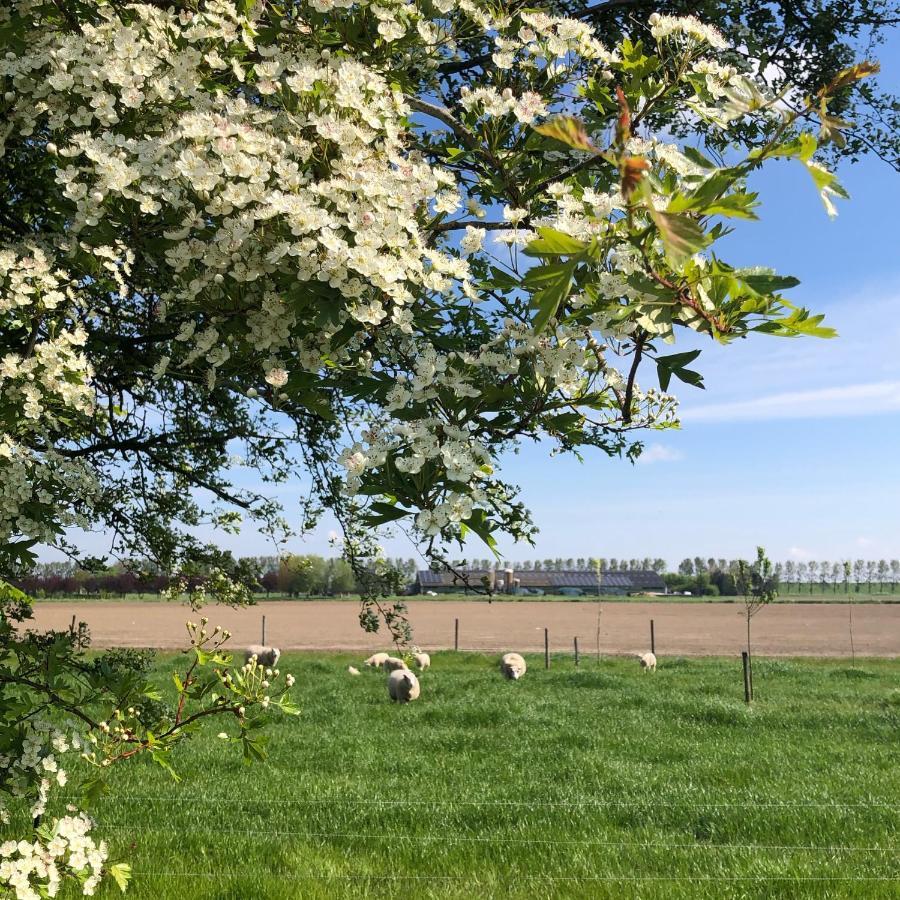 Op Bioboerderij, Kust, Polder En Rust Appartement Hoofdplaat